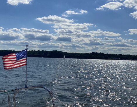 Nov. 13 – Maricopa Recount; Georgia Recount Disaster; Grassroots Action Items