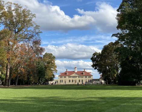 Nov. 13 – Maricopa Recount; Georgia Recount Disaster; Grassroots Action Items