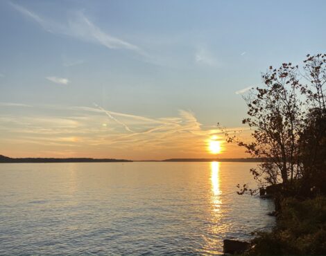 Nov. 13 – Maricopa Recount; Georgia Recount Disaster; Grassroots Action Items