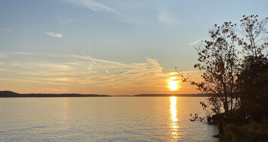 Nov. 18 – Stop Certification; Grassroots Must Stand Up; Update on the States