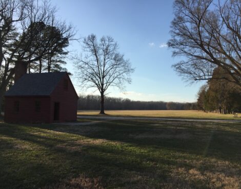 Nov. 13 – Maricopa Recount; Georgia Recount Disaster; Grassroots Action Items